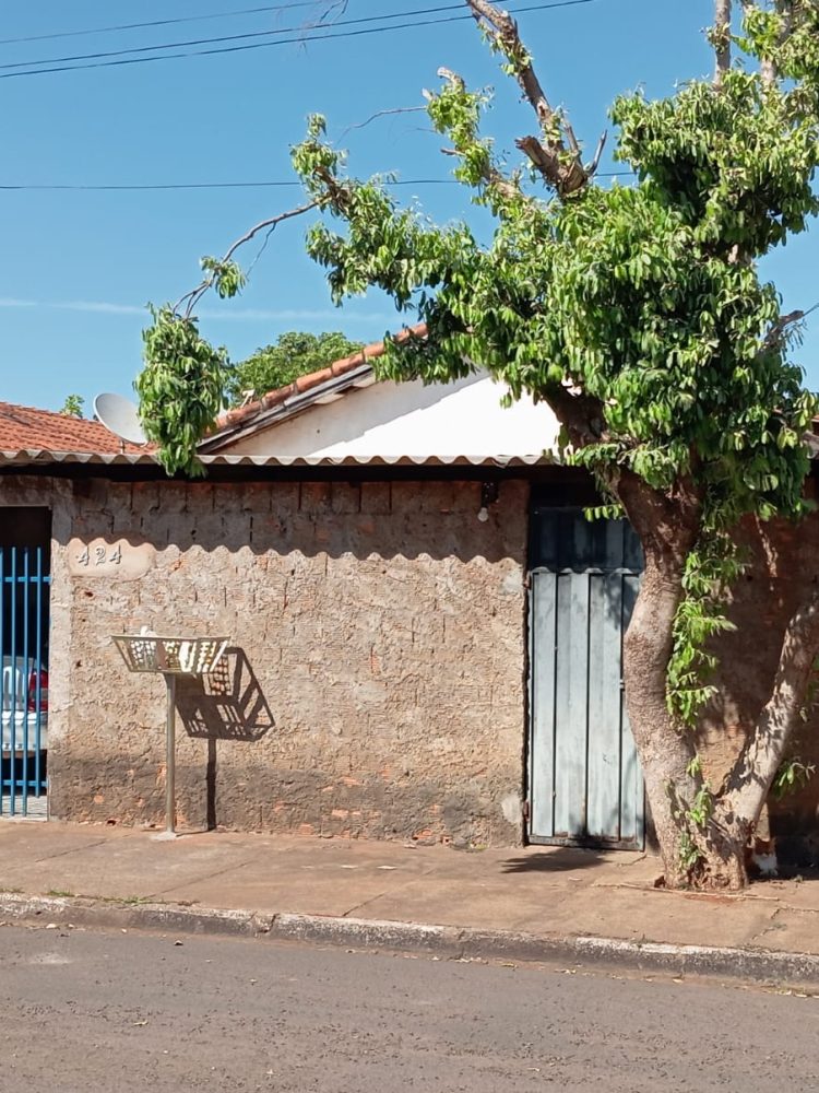 WhatsApp Image 2025-09-22 at 12.28.48