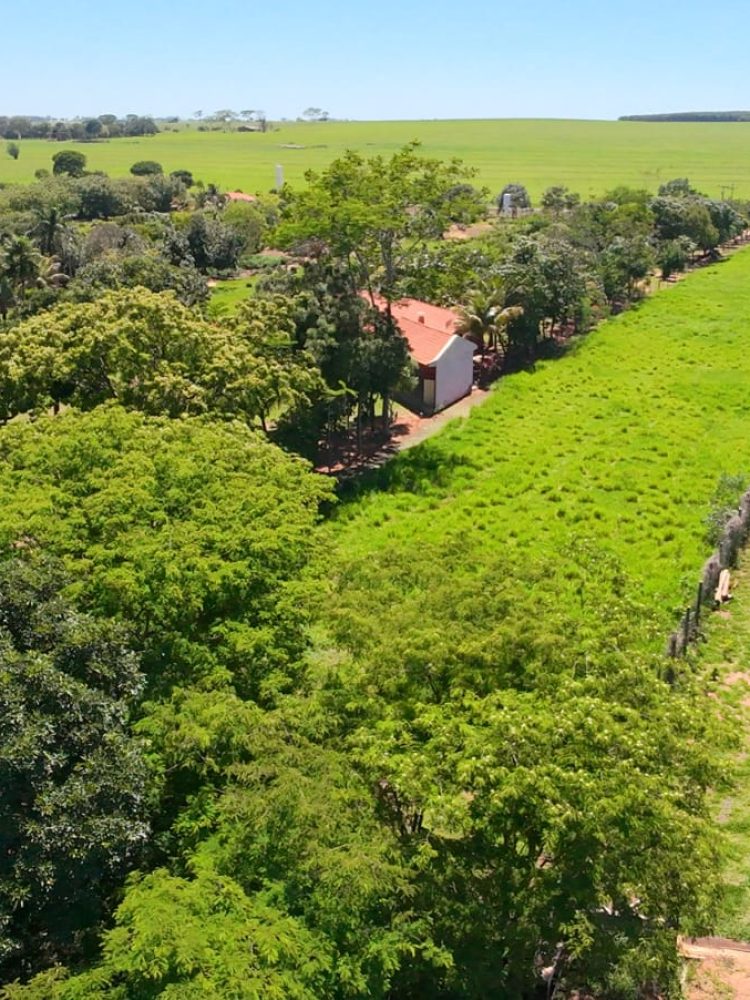 WhatsApp Image 2025-12-16 at 12.06.18 (2)