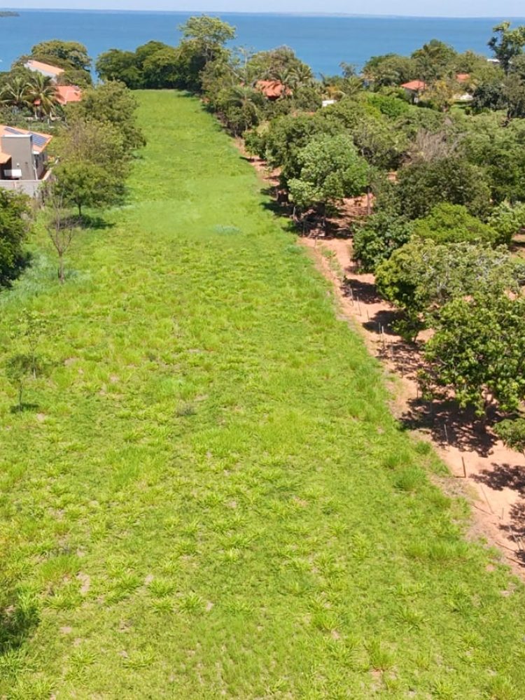 WhatsApp Image 2025-12-16 at 12.06.18