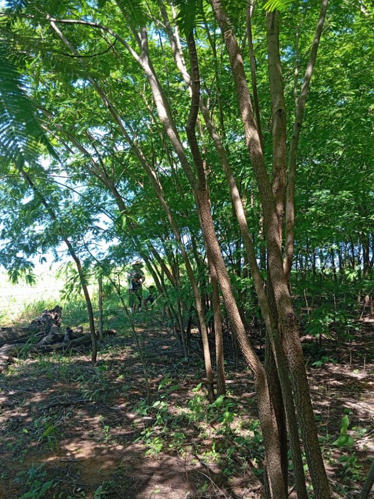 WhatsApp Image 2025-12-16 at 12.06.19 (1)