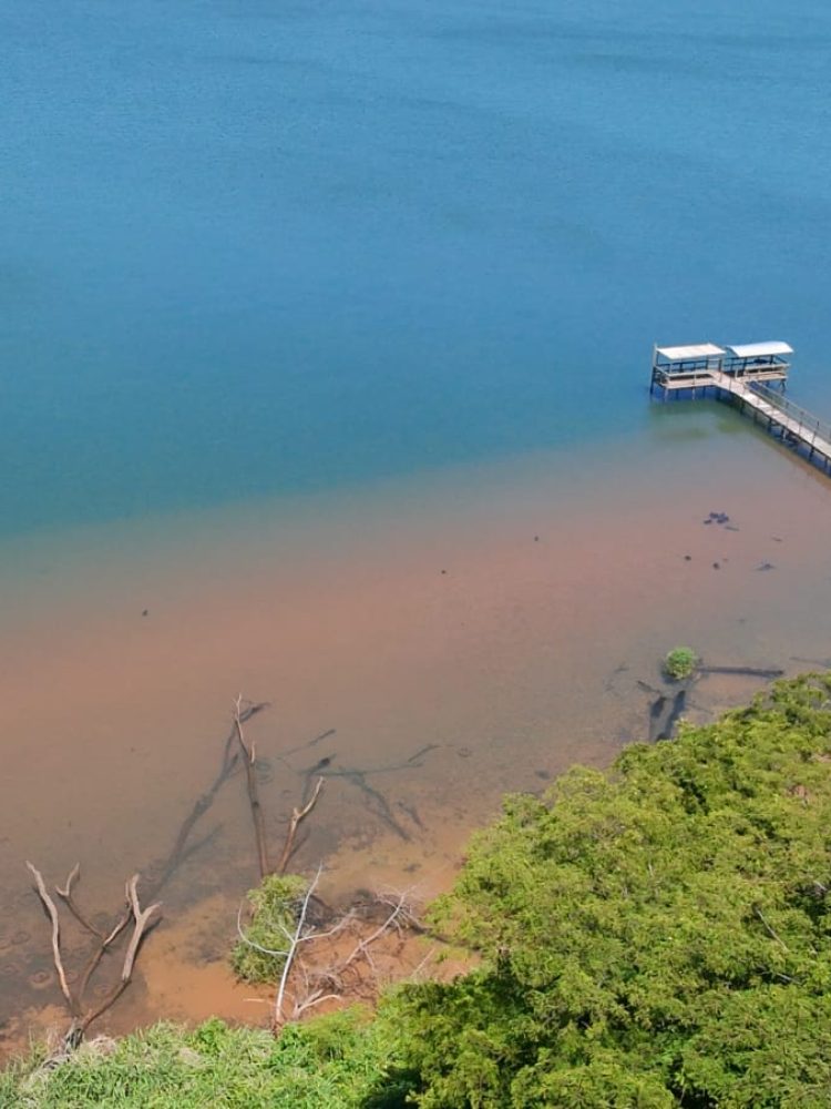 WhatsApp Image 2025-12-16 at 12.06.19