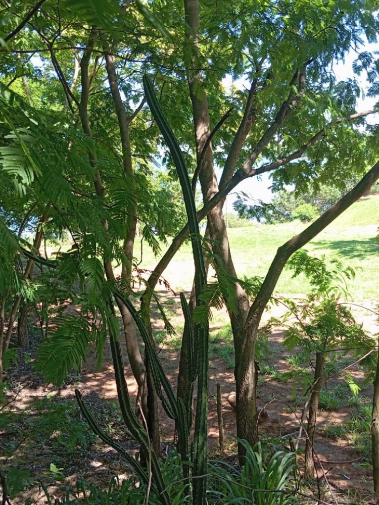 WhatsApp Image 2025-12-16 at 12.06.21