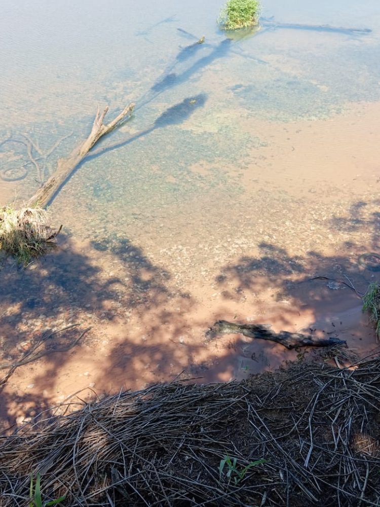 WhatsApp Image 2025-12-16 at 12.06.22