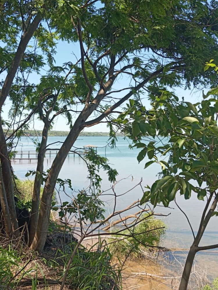 WhatsApp Image 2025-12-16 at 12.06.23