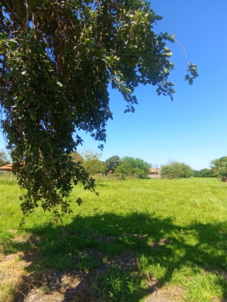 WhatsApp Image 2025-12-16 at 12.06.24 (1)