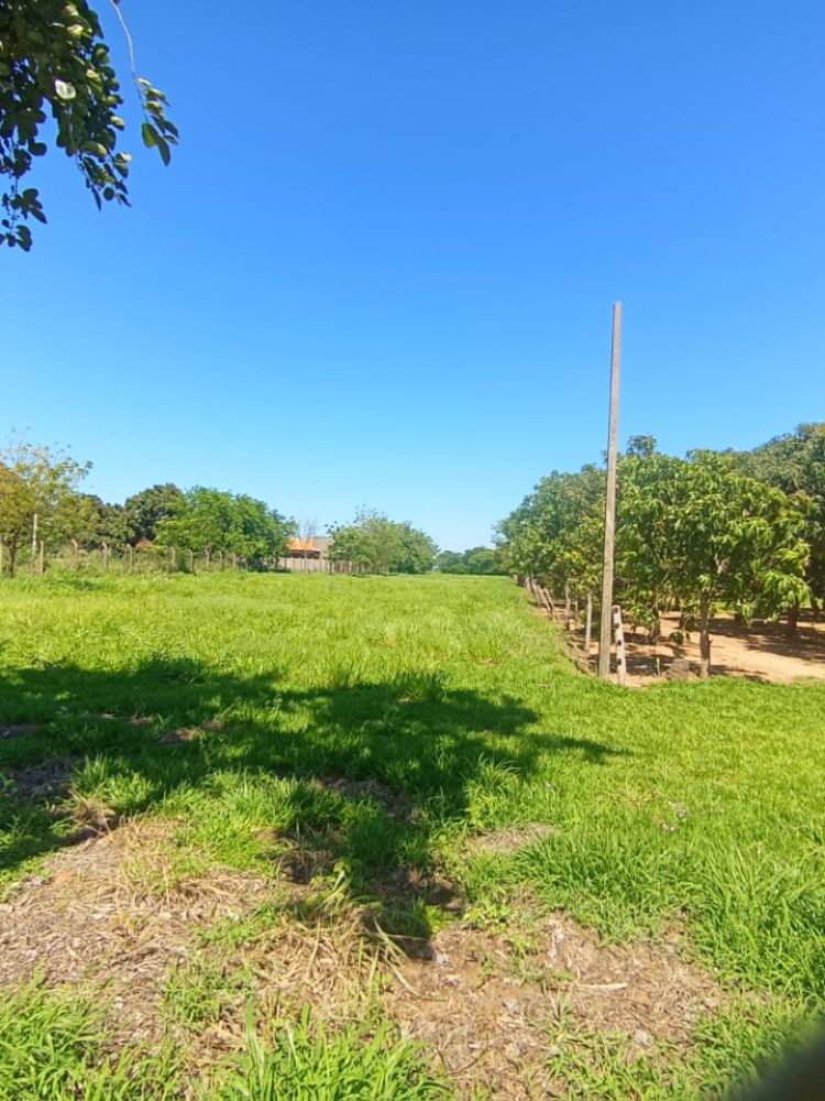 WhatsApp Image 2025-12-16 at 12.06.24