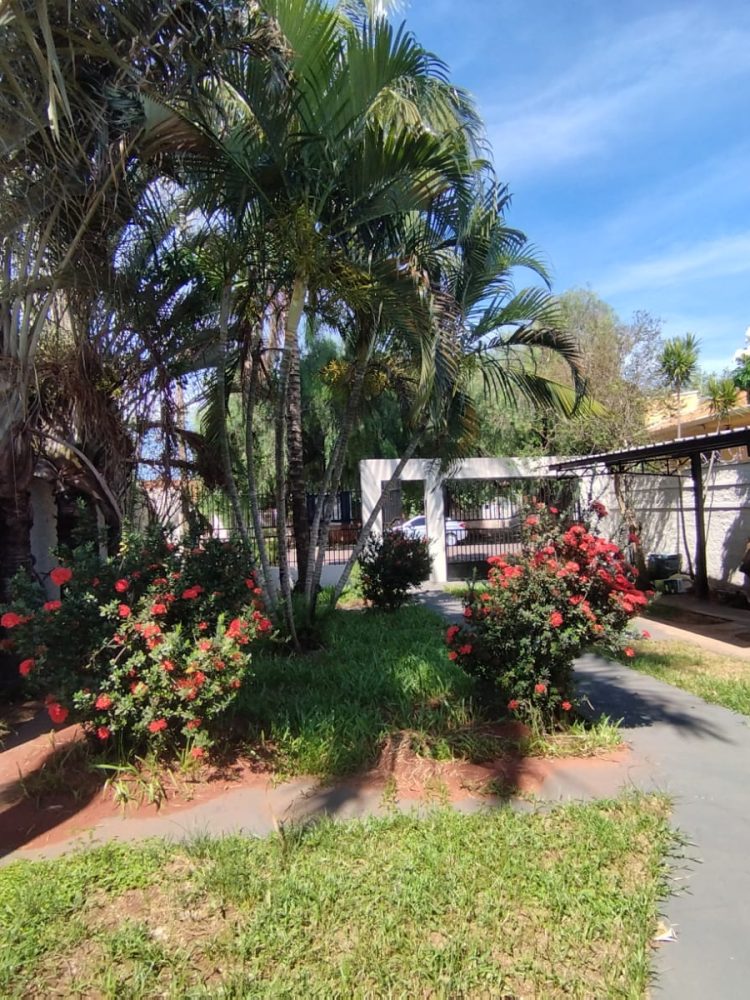 WhatsApp Image 2025-12-16 at 12.09.57