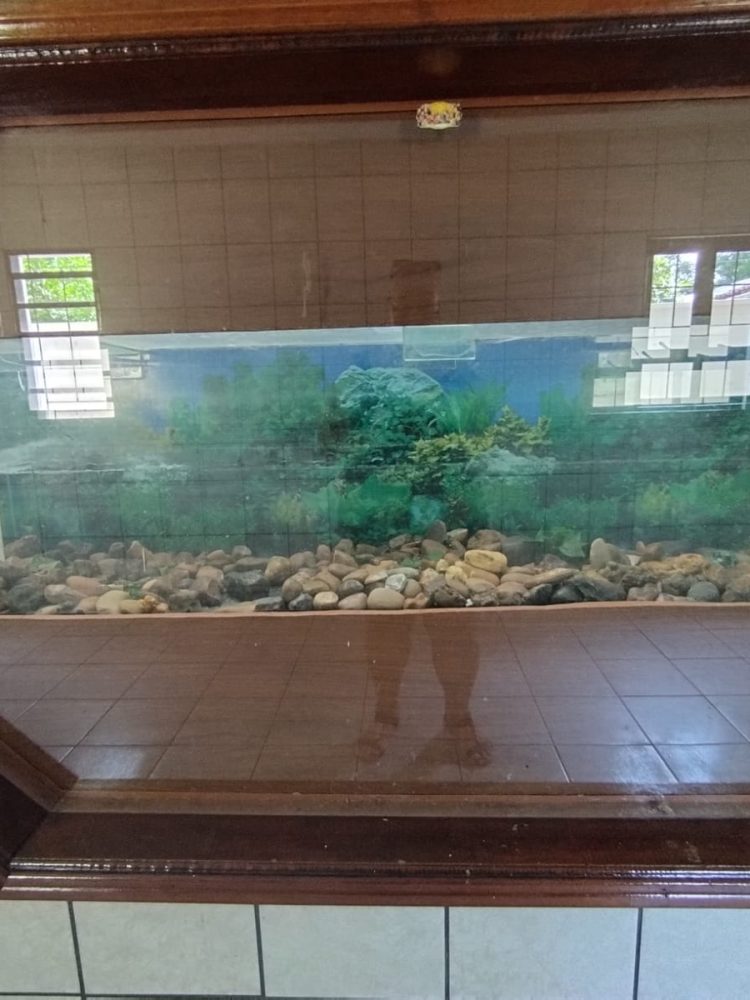 WhatsApp Image 2025-12-16 at 12.09.58