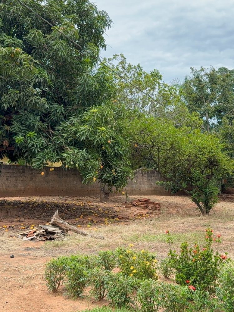 WhatsApp Image 2025-12-23 at 11.20.40 (1)