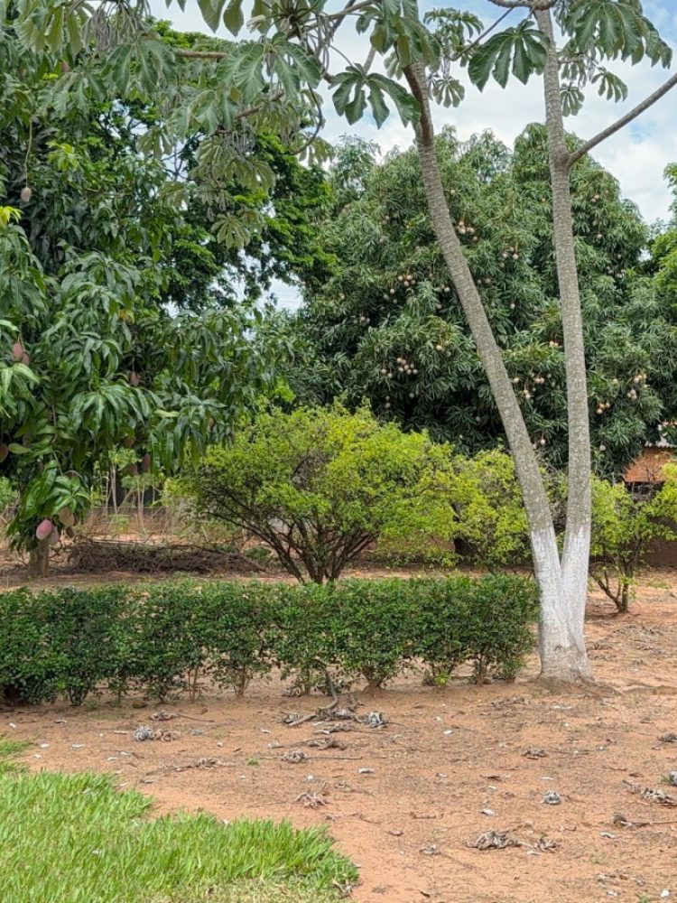 WhatsApp Image 2025-12-23 at 11.20.40