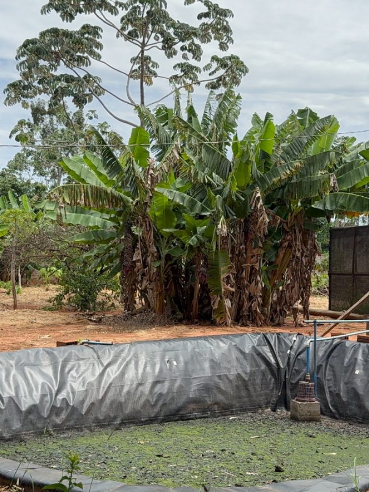 WhatsApp Image 2025-12-23 at 11.20.44 (1)