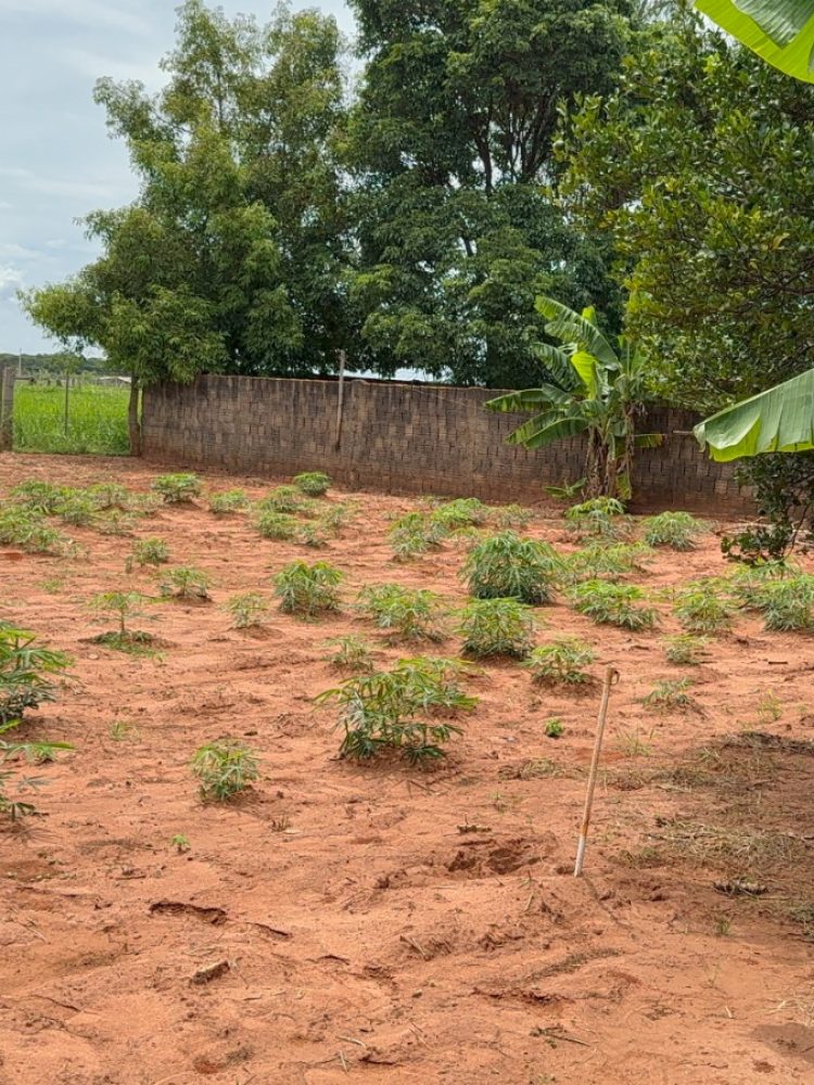 WhatsApp Image 2025-12-23 at 11.20.45 (1)