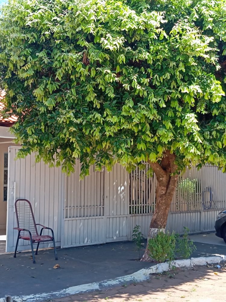 WhatsApp Image 2026-01-19 at 15.32.59 (1)