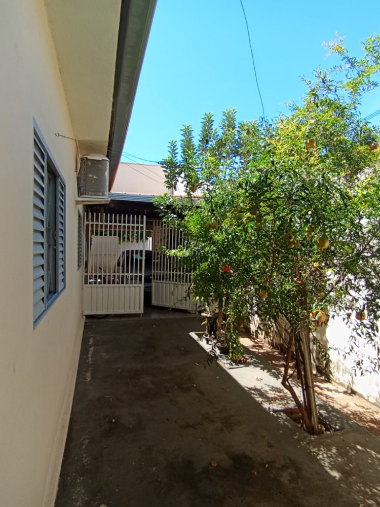 WhatsApp Image 2026-01-19 at 15.33.00 (3)