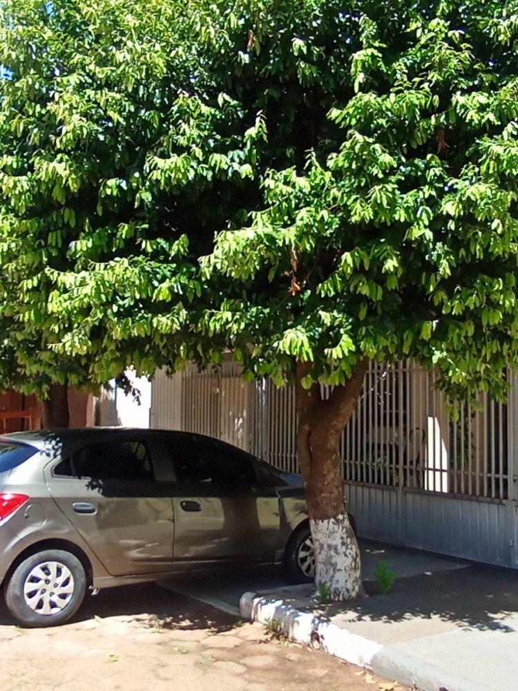 WhatsApp Image 2026-01-19 at 15.33.00