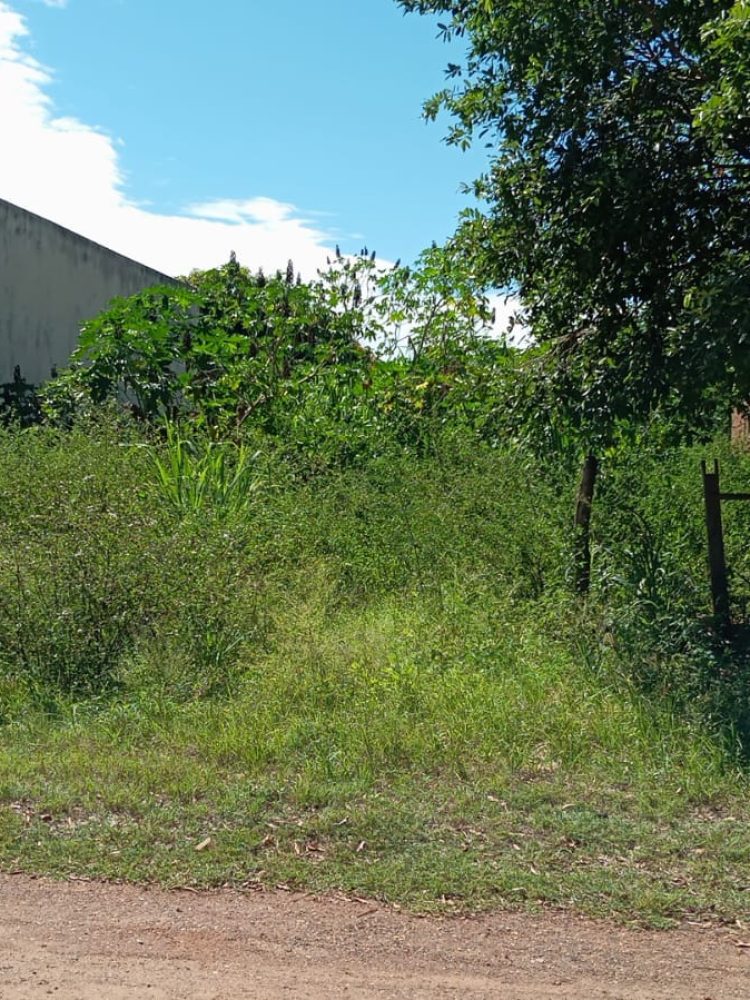 WhatsApp Image 2026-01-19 at 15.33.17 (1)