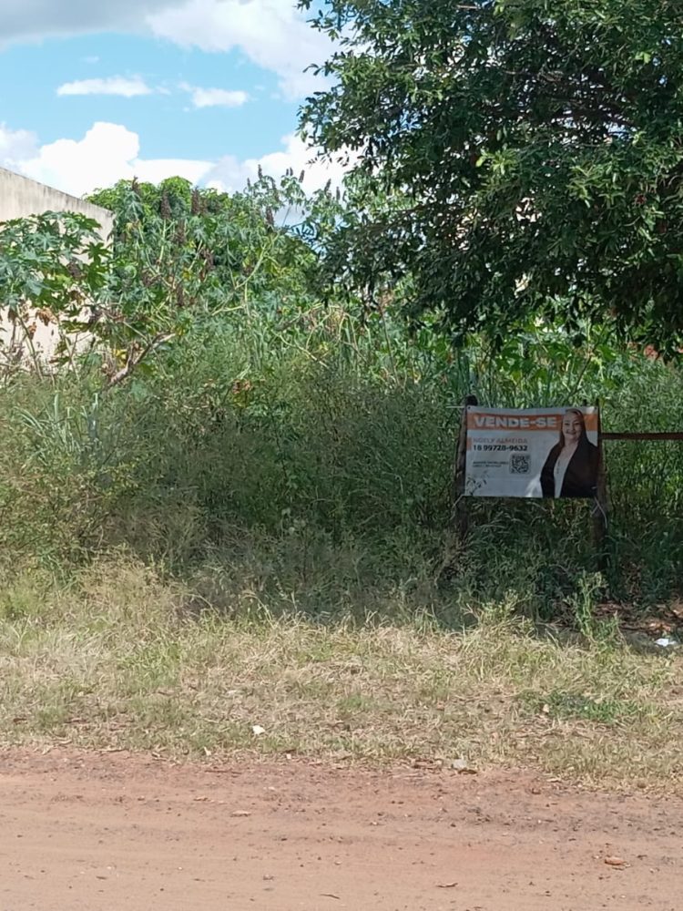 WhatsApp Image 2026-01-30 at 09.58.52 (1)