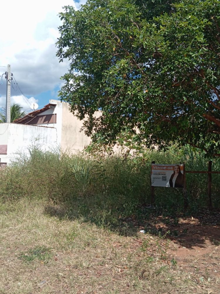 WhatsApp Image 2026-01-30 at 09.58.52