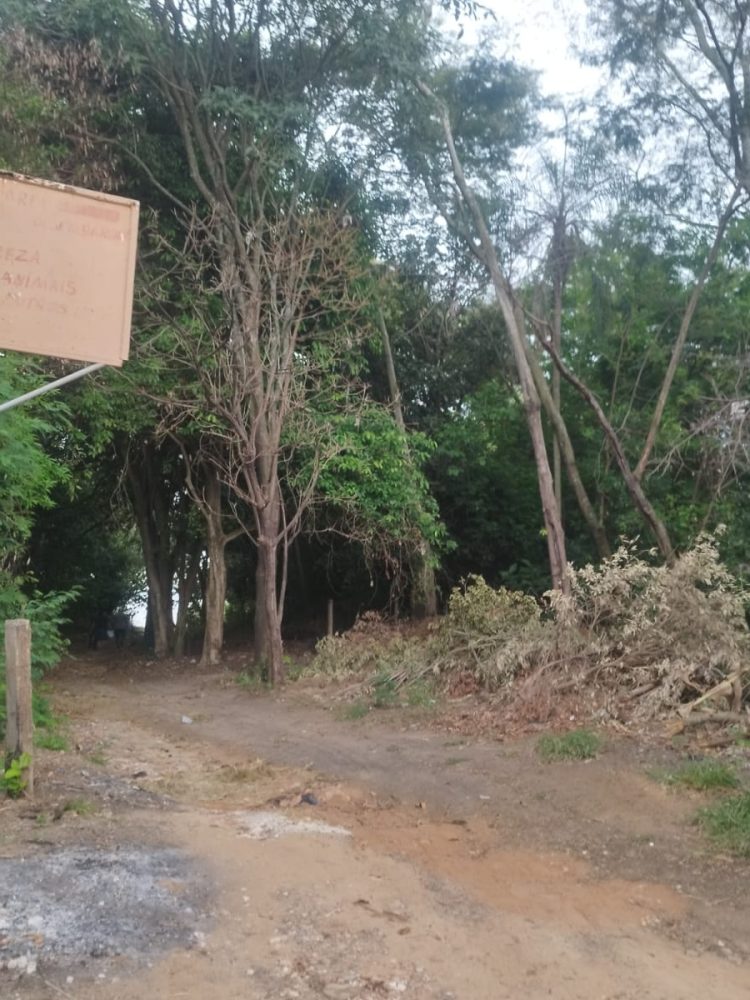 WhatsApp Image 2026-02-02 at 09.21.14