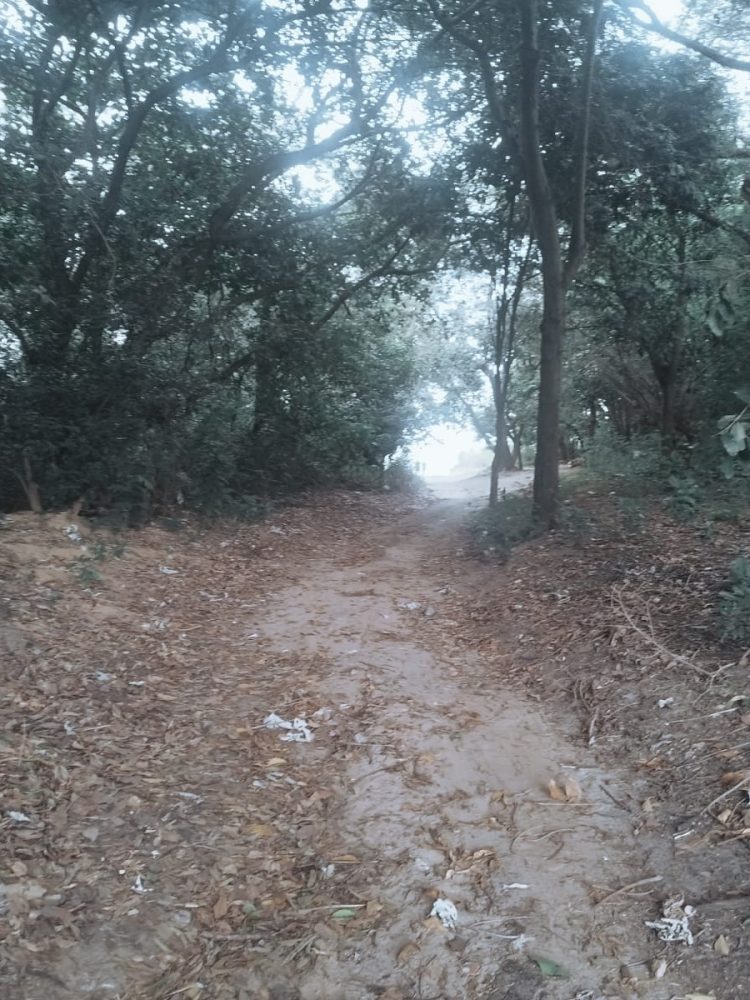 WhatsApp Image 2026-02-02 at 09.21.17