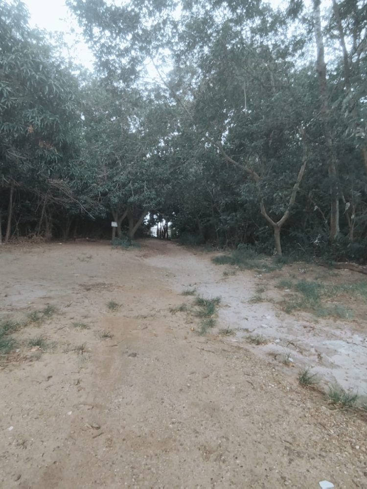 WhatsApp Image 2026-02-02 at 09.21.18