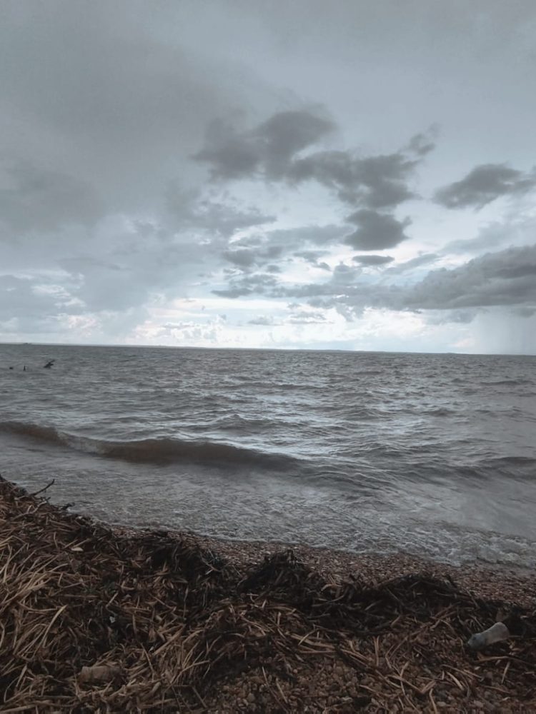 WhatsApp Image 2026-02-02 at 09.21.19