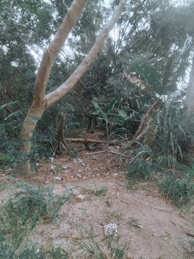 WhatsApp Image 2026-02-02 at 09.22.18 (1)