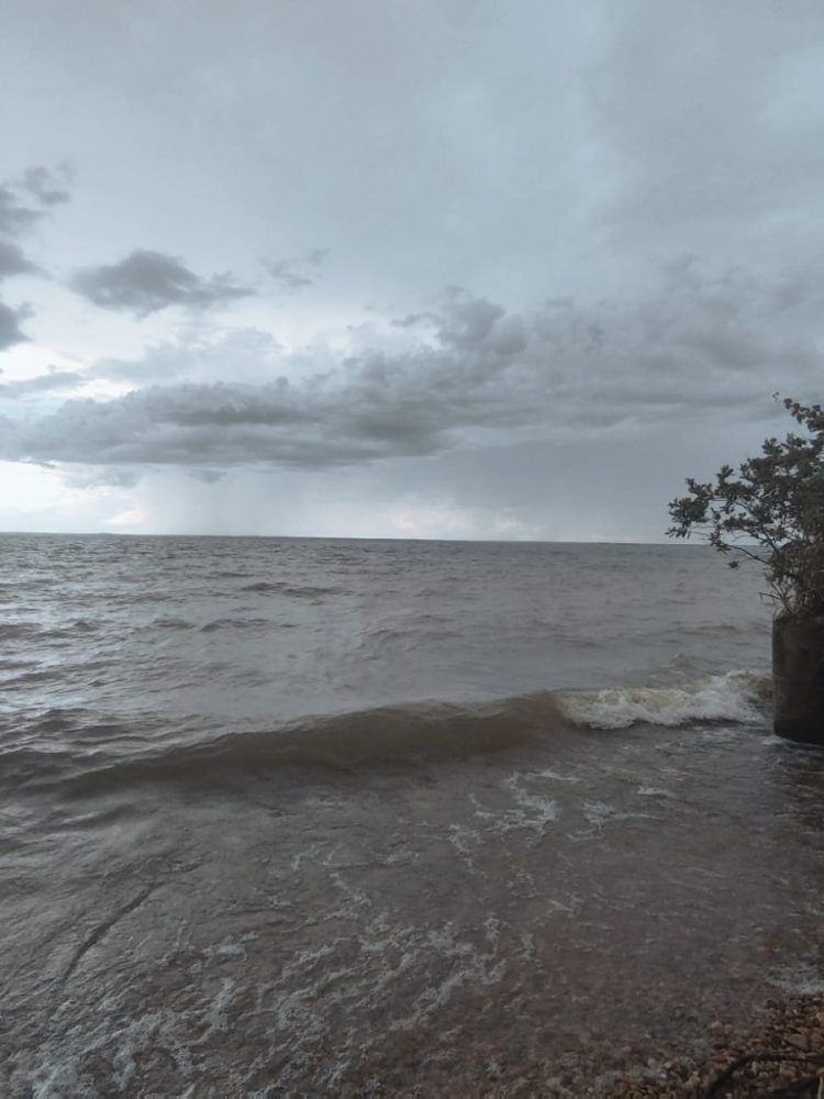 WhatsApp Image 2026-02-02 at 09.22.18