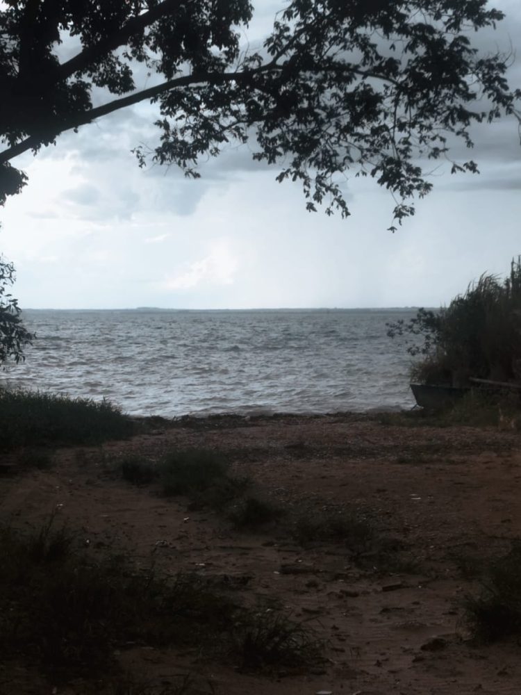 WhatsApp Image 2026-02-02 at 09.22.20