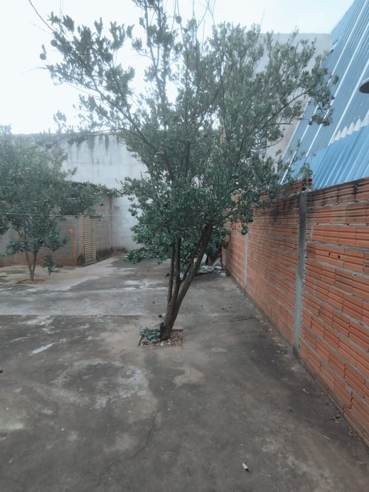 WhatsApp Image 2026-02-02 at 09.23.34 (1)