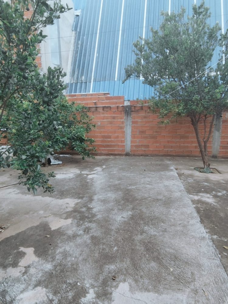 WhatsApp Image 2026-02-02 at 09.24.28