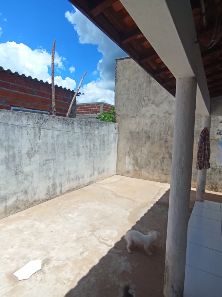 WhatsApp Image 2026-02-09 at 19.53.16 (1)