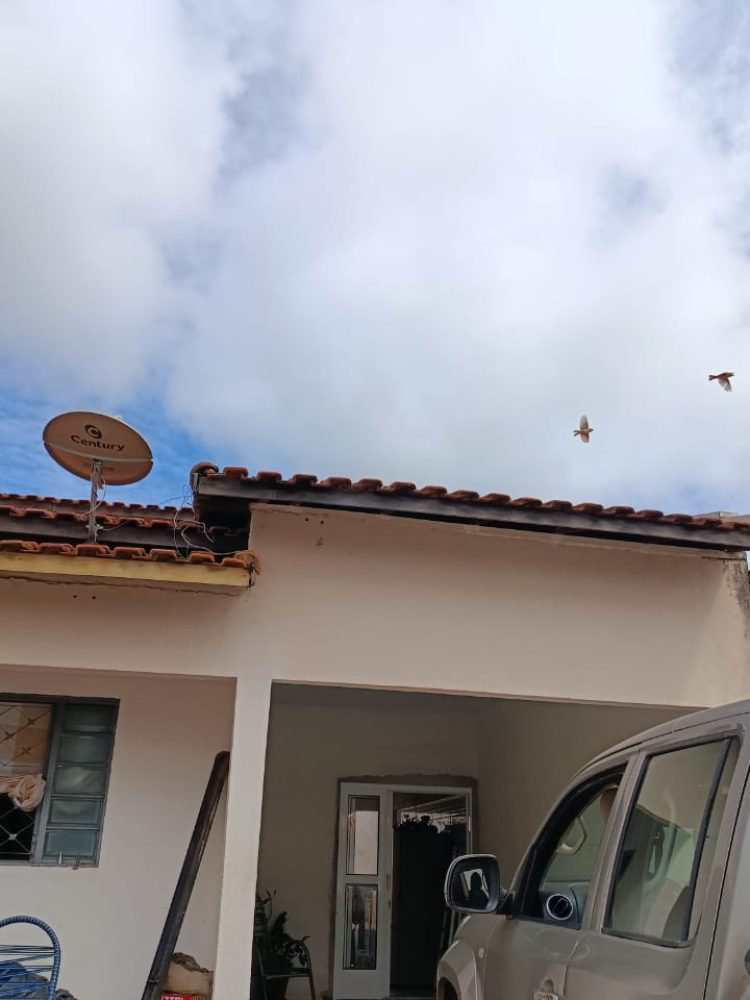 WhatsApp Image 2026-02-17 at 13.42.34 (2)