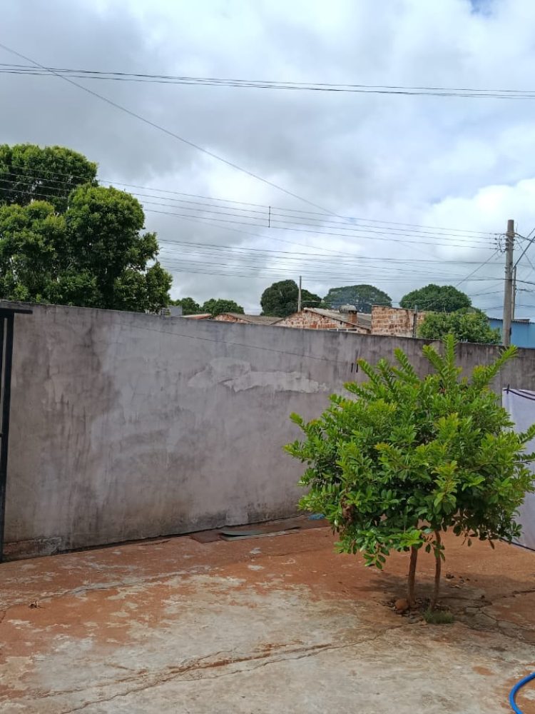 WhatsApp Image 2026-02-17 at 13.42.35