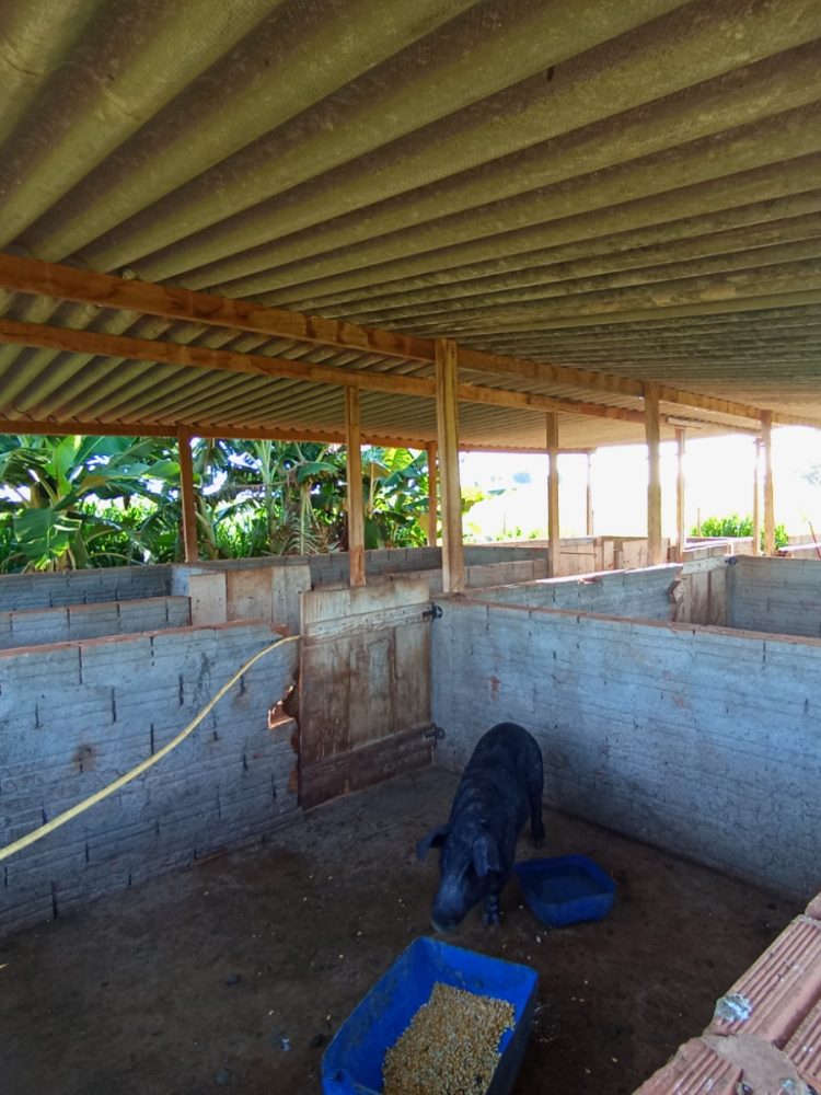 WhatsApp Image 2026-03-07 at 16.50.01 (1)