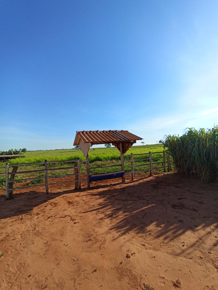 WhatsApp Image 2026-03-07 at 16.50.02 (1)