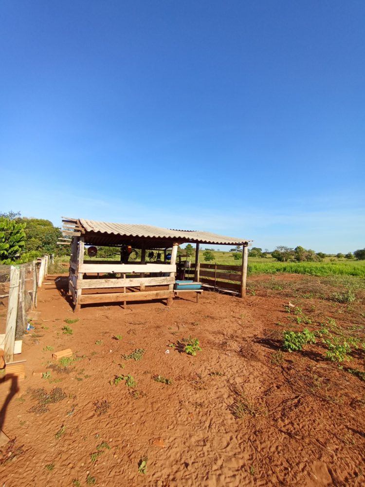 WhatsApp Image 2026-03-07 at 16.50.02