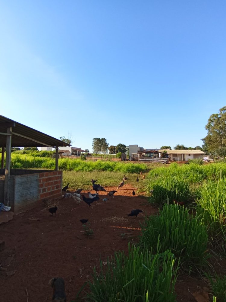 WhatsApp Image 2026-03-07 at 16.50.03 (1)