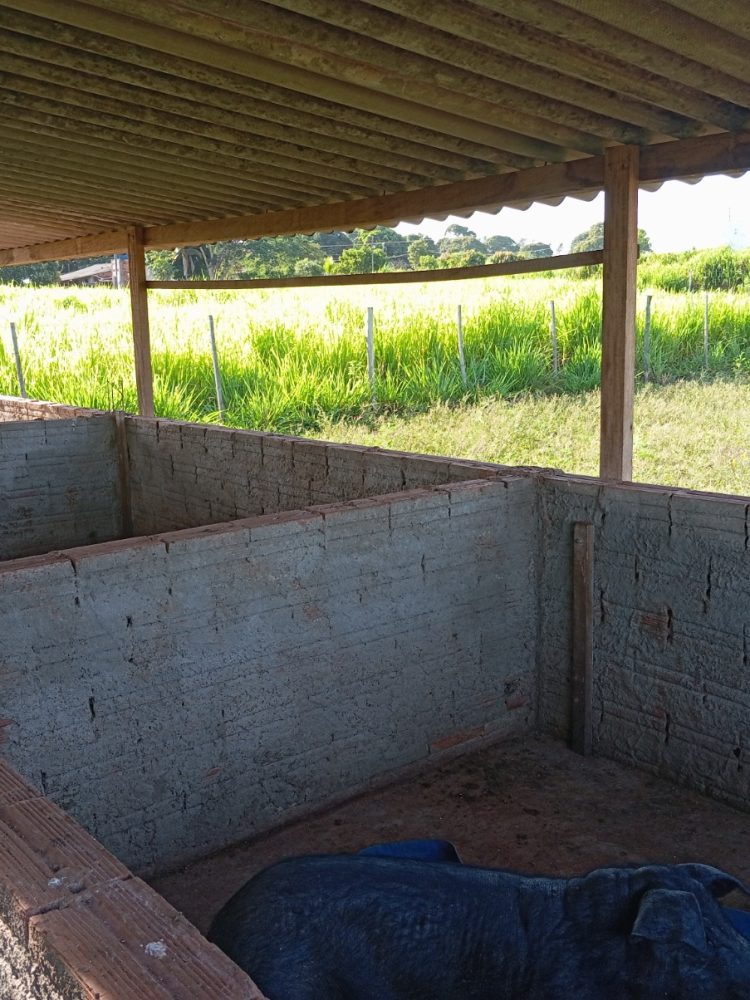 WhatsApp Image 2026-03-07 at 16.50.03