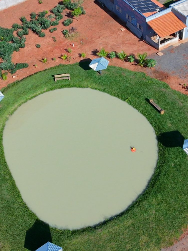 WhatsApp Image 2026-03-07 at 16.50.04