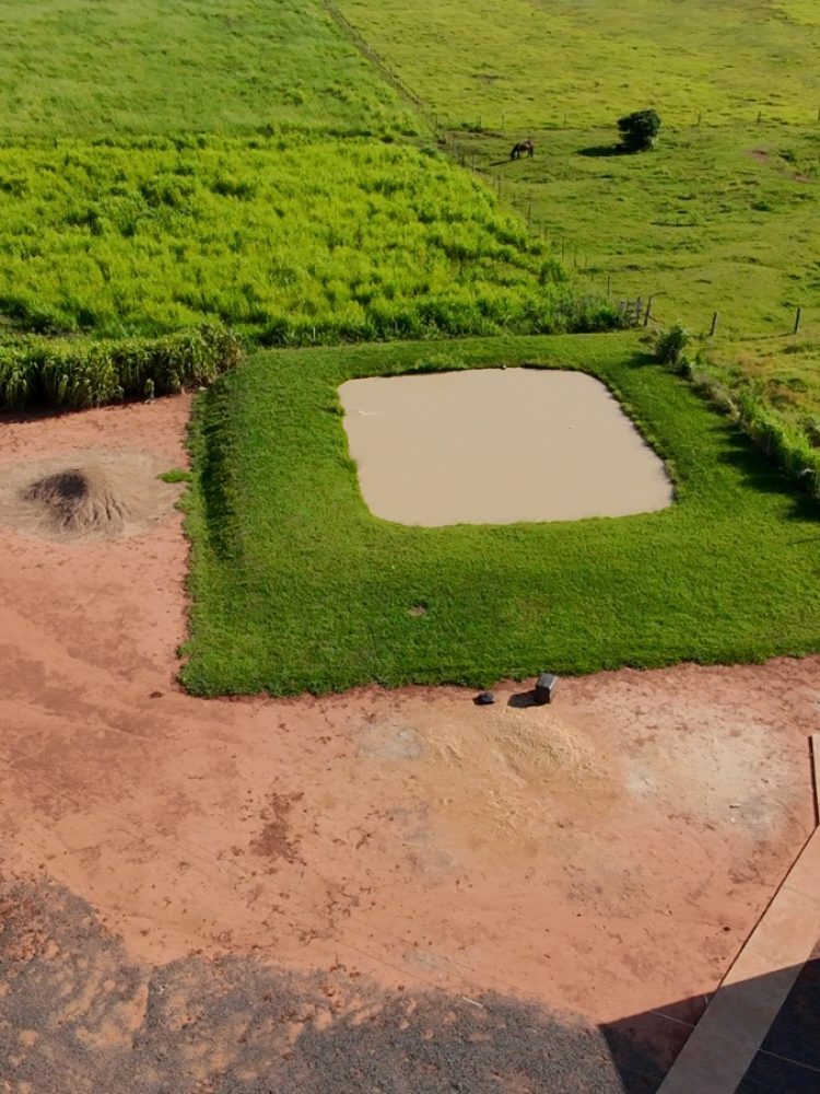 WhatsApp Image 2026-03-07 at 16.50.05