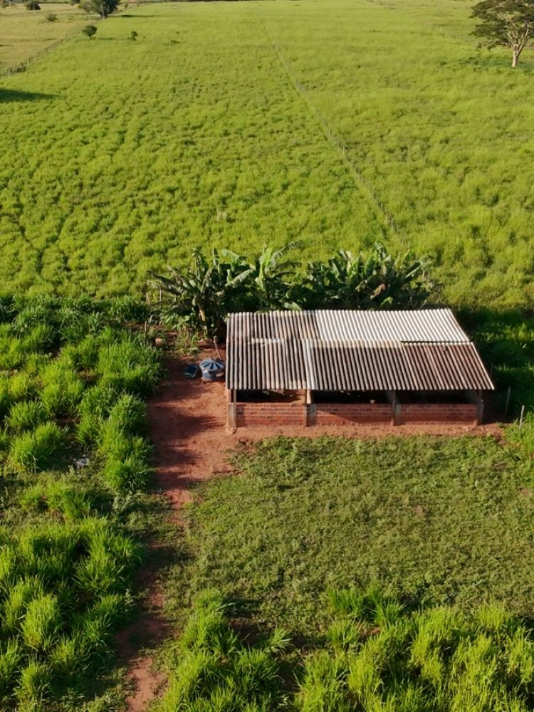 WhatsApp Image 2026-03-07 at 16.50.06