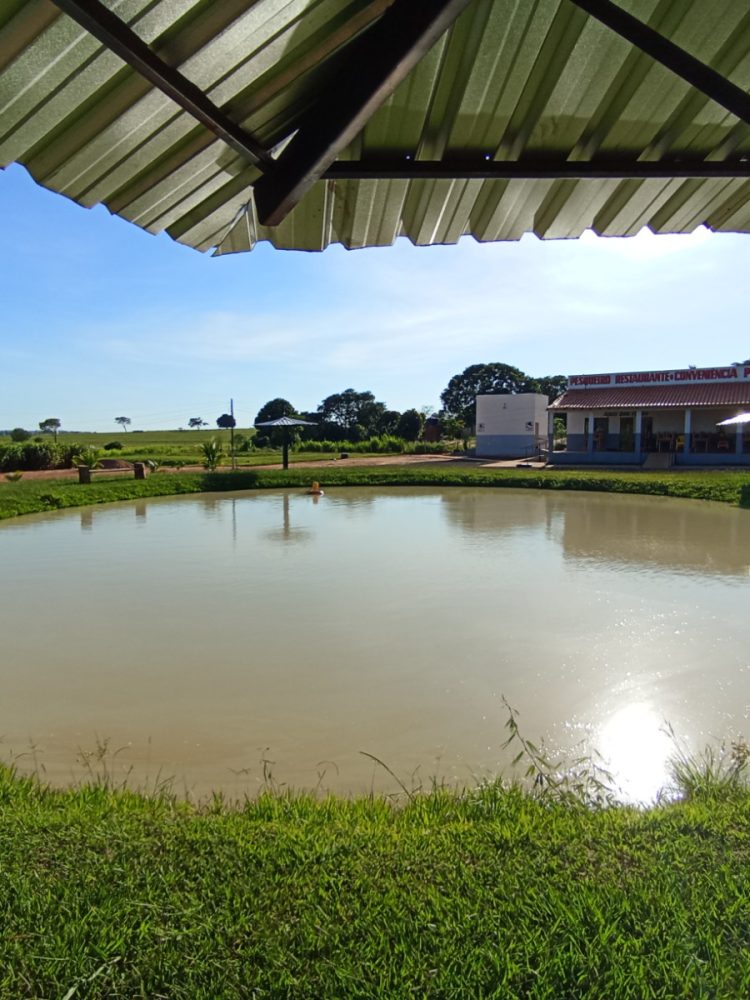 WhatsApp Image 2026-03-07 at 16.50.08 (1)