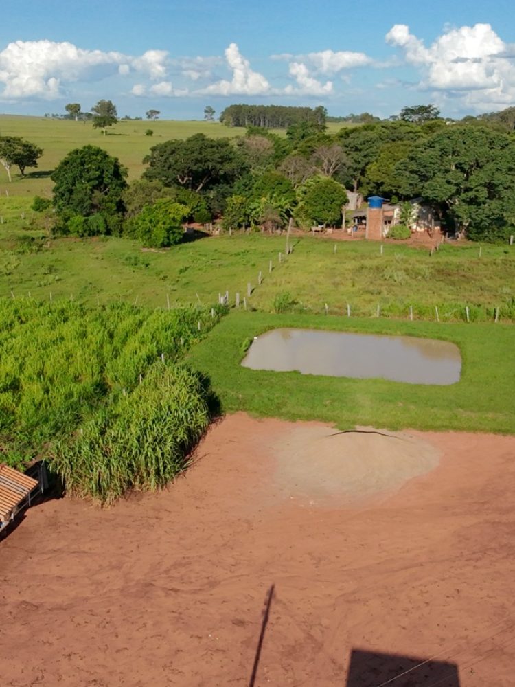 WhatsApp Image 2026-03-07 at 16.50.09