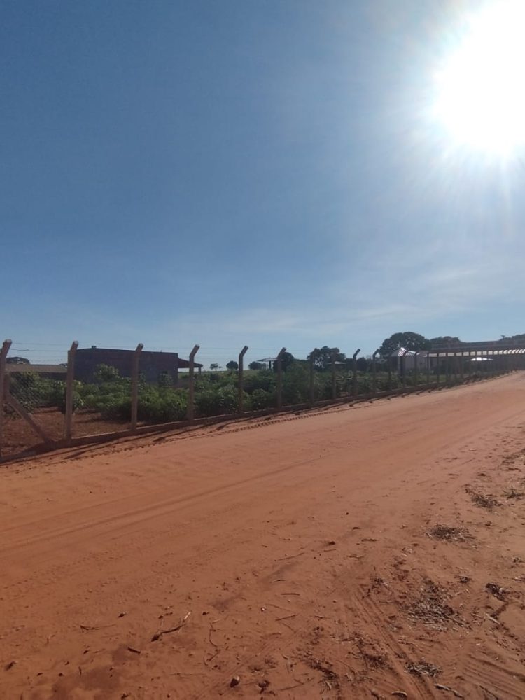 WhatsApp Image 2026-03-07 at 16.59.51