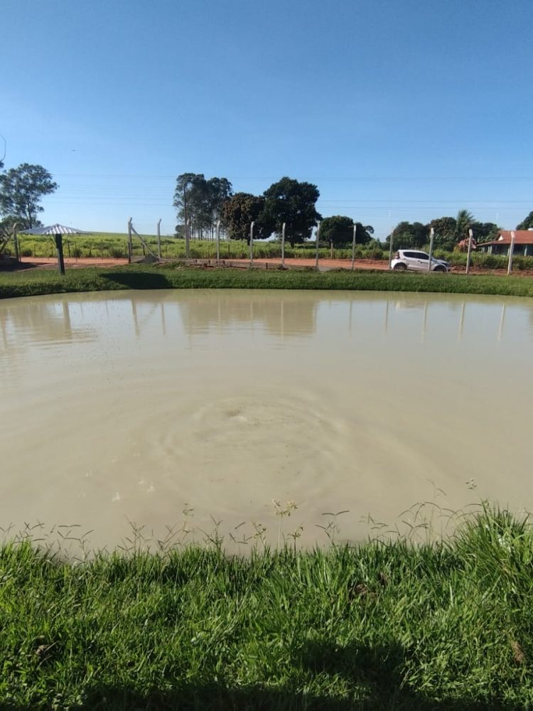 WhatsApp Image 2026-03-07 at 16.59.53 (1)