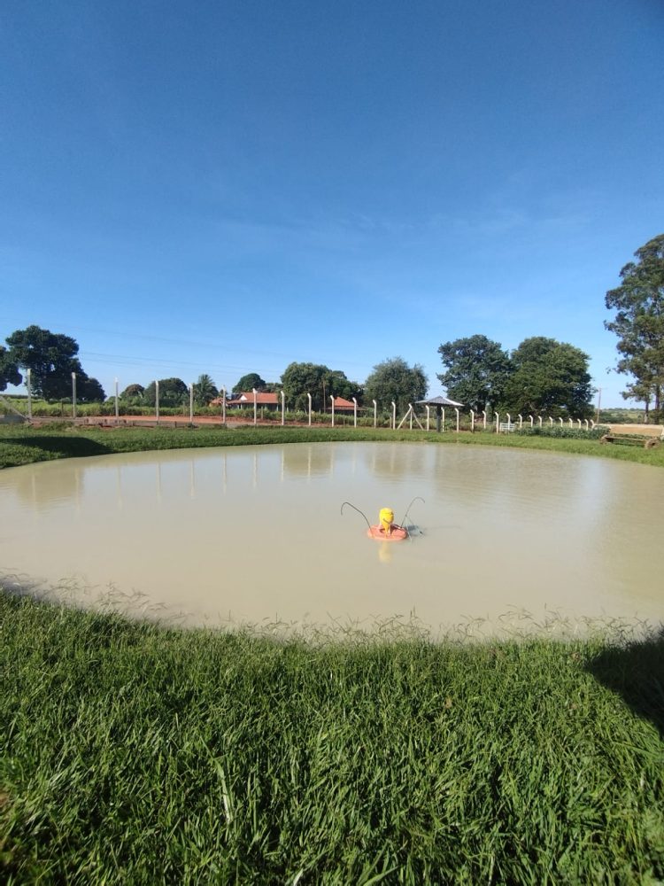 WhatsApp Image 2026-03-07 at 16.59.53