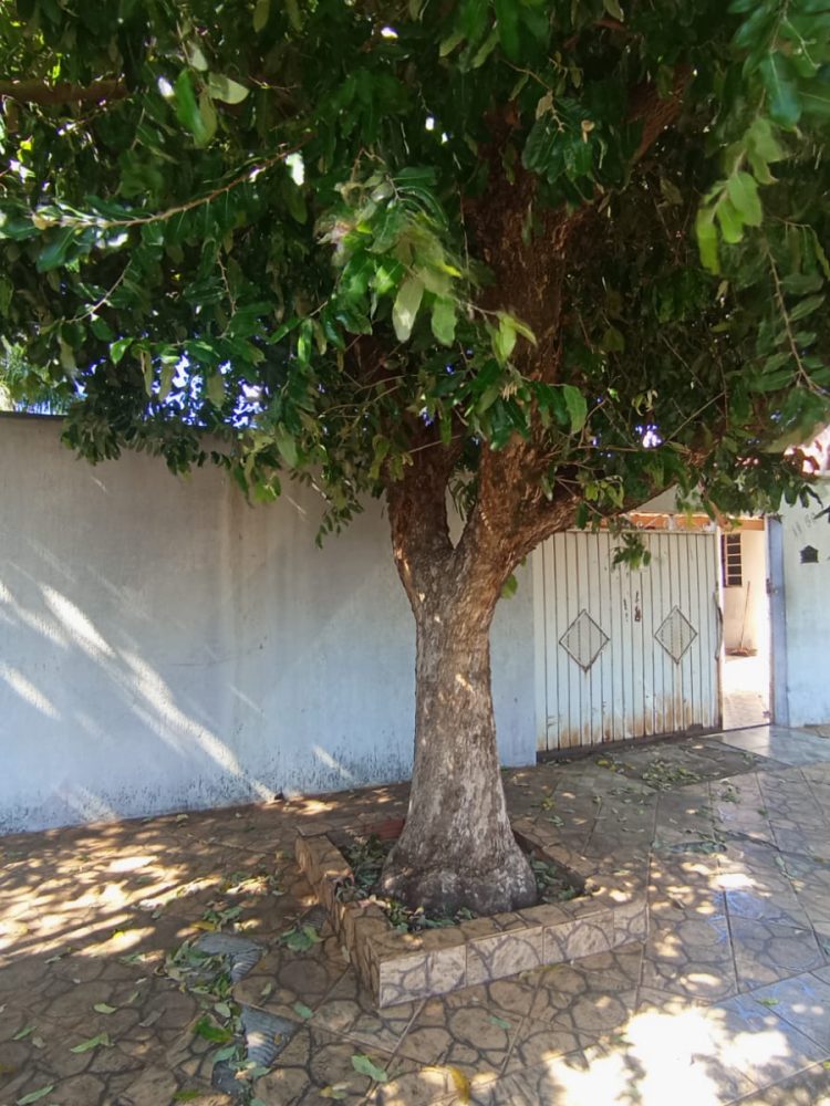 WhatsApp Image 2026-04-07 at 19.13.02